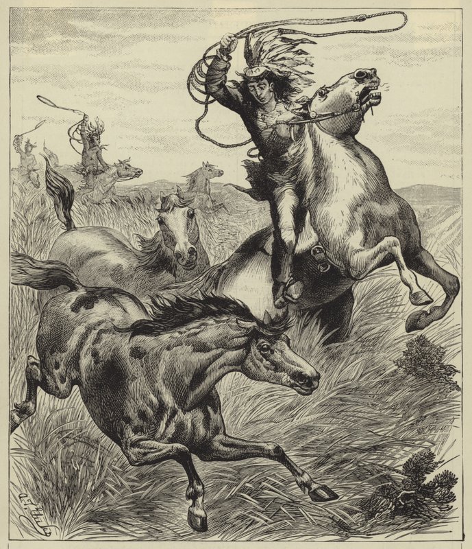 Das Lasso werfen von English School