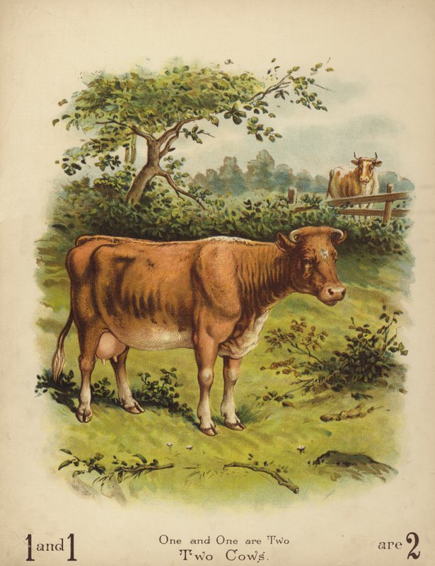 Zwei Kühe von English School