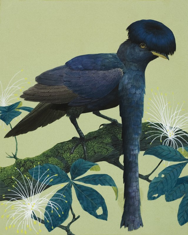 Schirmvogel von English School
