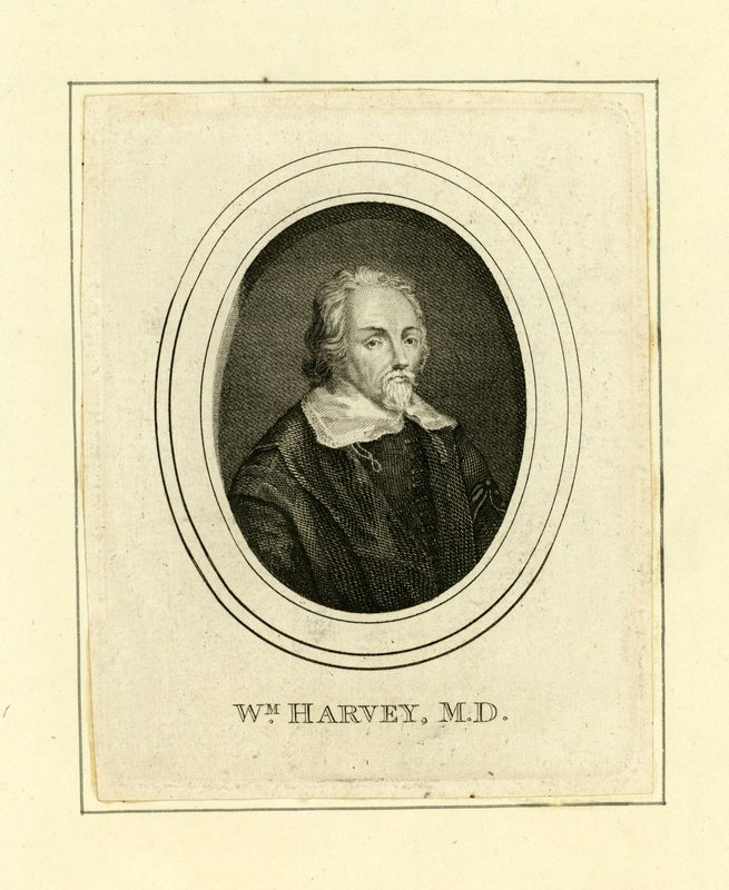 William Harvey von English School