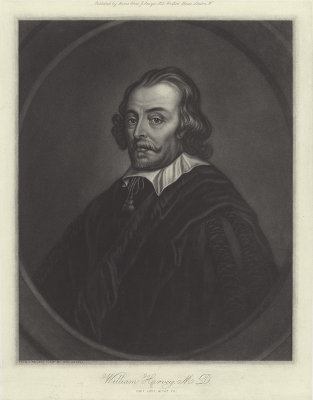William Harvey, englischer Arzt von English School