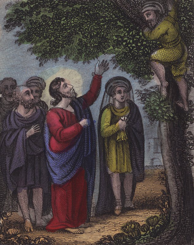Zachäus kletterte auf den Baum ... (farbige Gravur) von English School