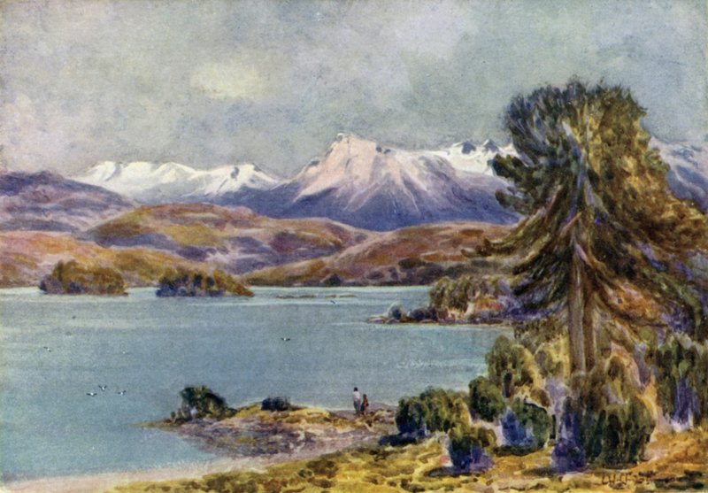 Moquhue-See von Ernest William Christmas