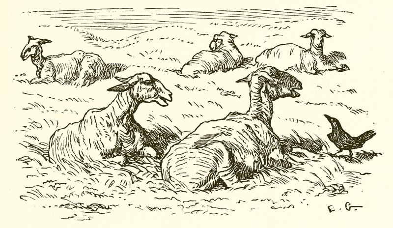 Der Adler und die Krähe von Ernest Henry Griset