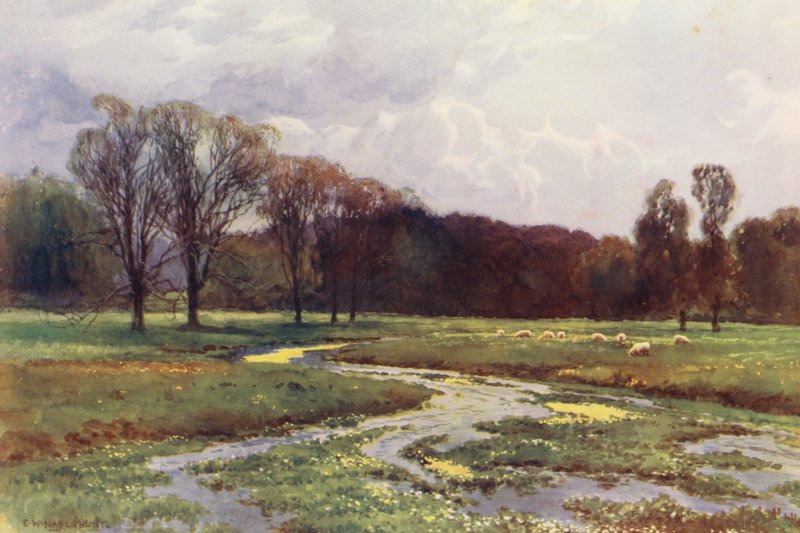 Fluss Themse: Thames Head von Ernest William Haslehust