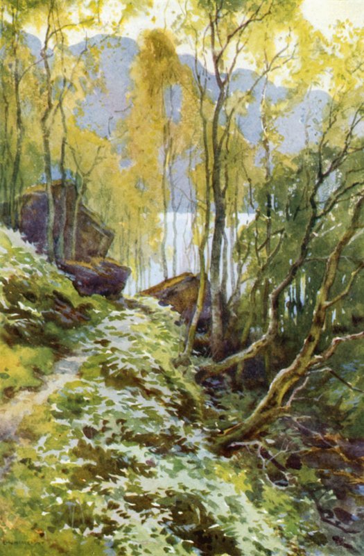 Der alte Pass, Trossachs von Ernest William Haslehust