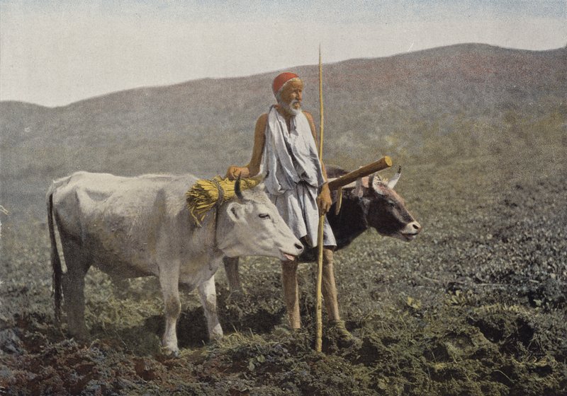 Kabylischer Wagen von European Photographer