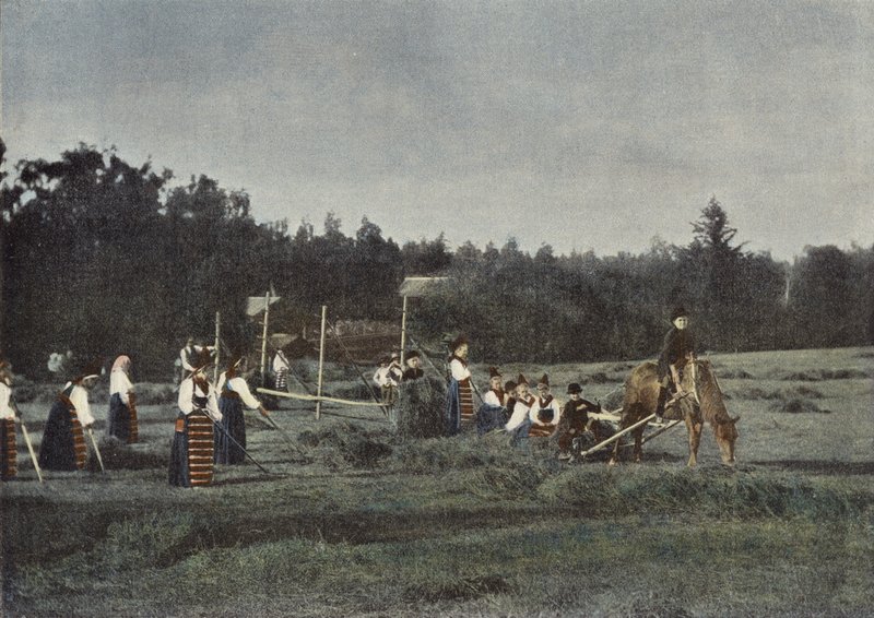 Heuernte in Dalekarlien, Schweden von European Photographer
