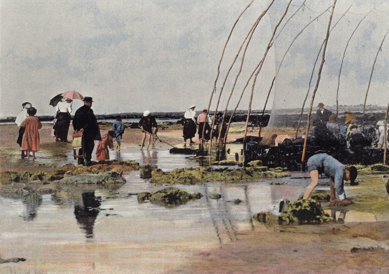 Die Fischerei rund um den Park von European Photographer