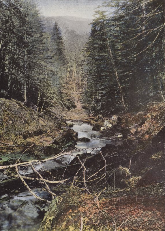 Luchon, Oberes Tal der Pique von European Photographer