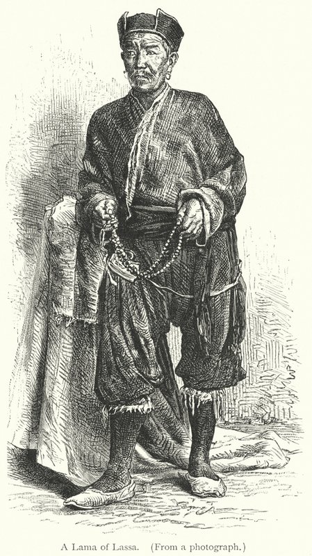 Ein Lama von Lassa (Gravur) von European School