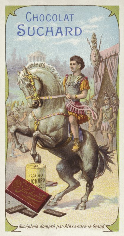 Bucephalus gezähmt von Alexander dem Großen von European School