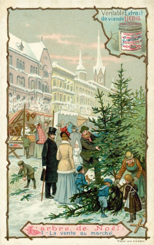 Weihnachtsbaum von European School