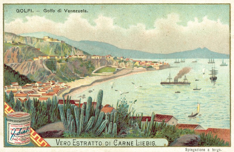 Golf von Venezuela von European School