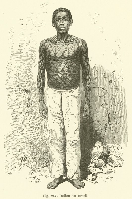 Inder aus Brasilien (Stich) von European School
