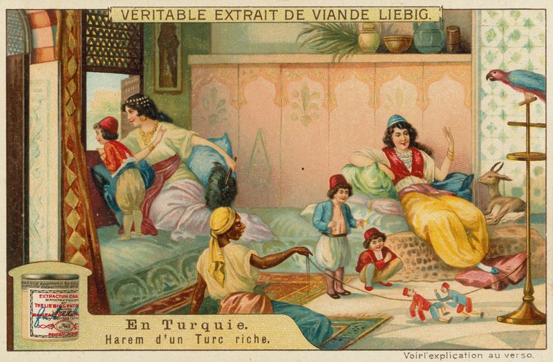 Im Harem eines reichen Türken von European School