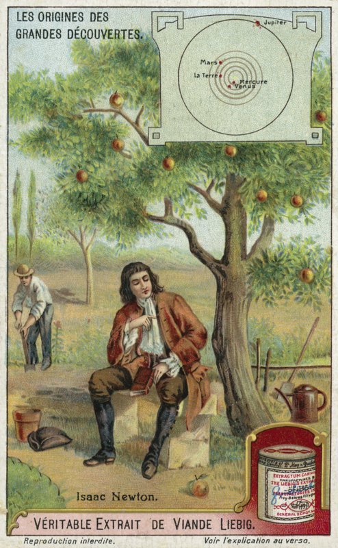 Isaac Newton und die Schwerkraft von European School