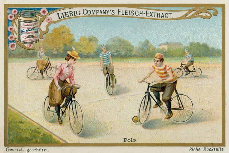 Polo von European School