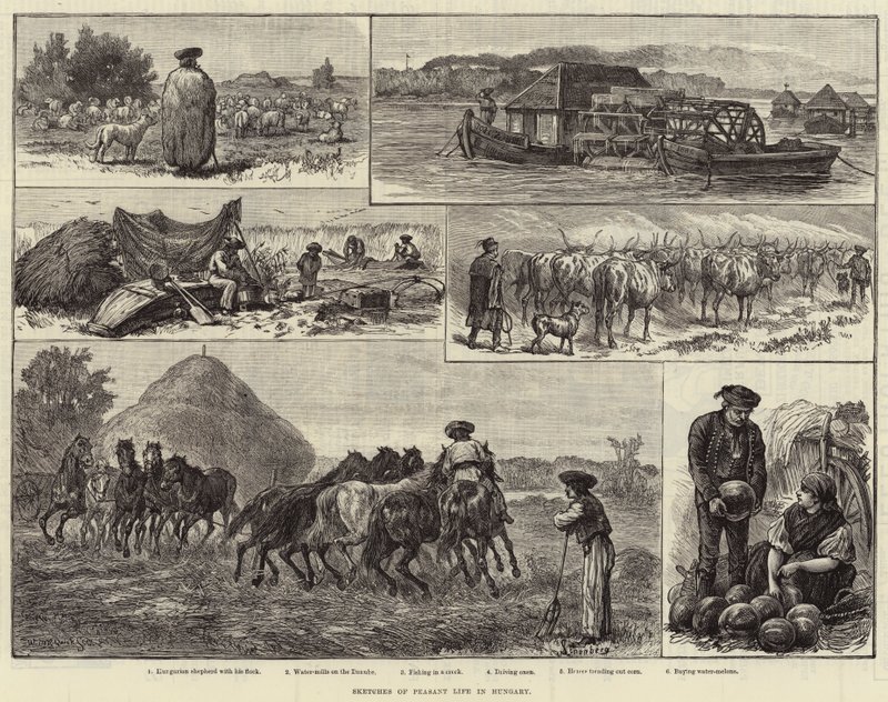 Skizzen aus dem Bauernleben in Ungarn (Stich) von European School