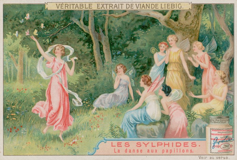 Die Sylphen tanzen mit Schmetterlingen von European School