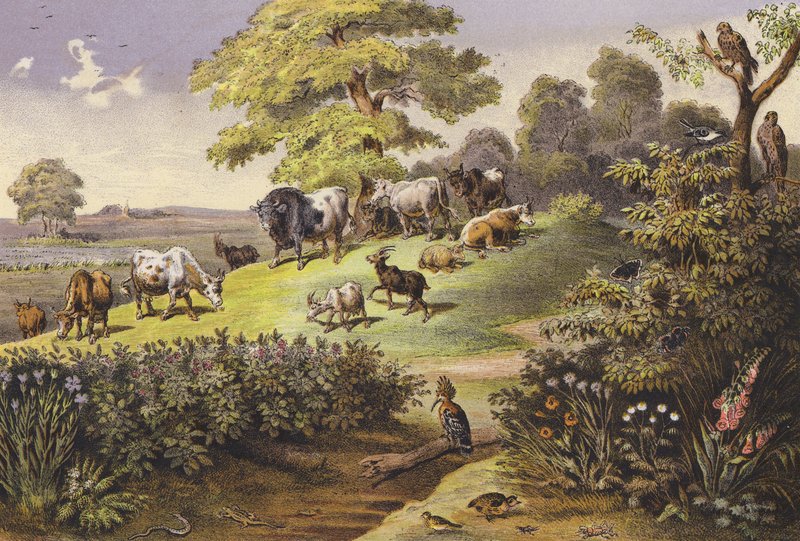 Juli von Ferdinand Karl Klimsch