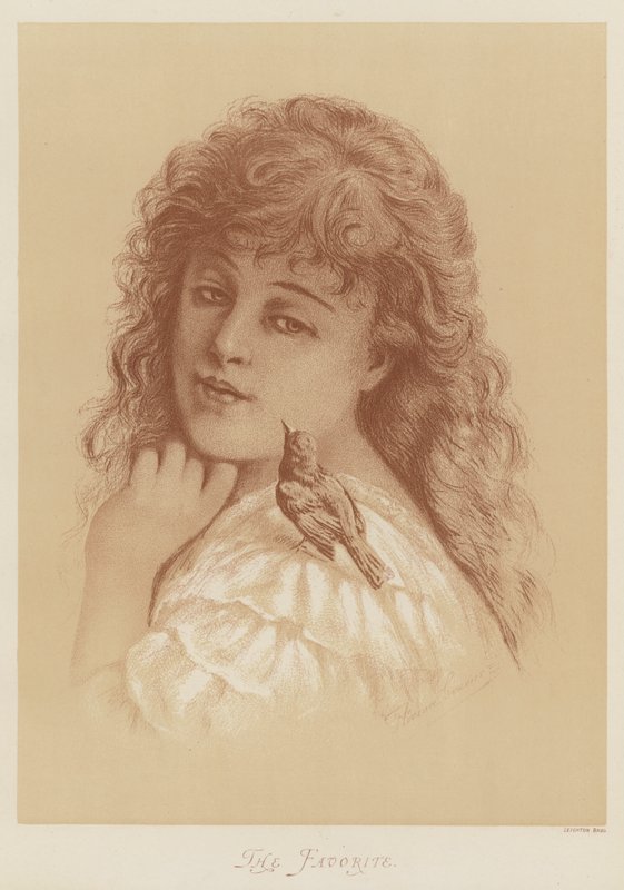 Der Favorit von Florence Claxton