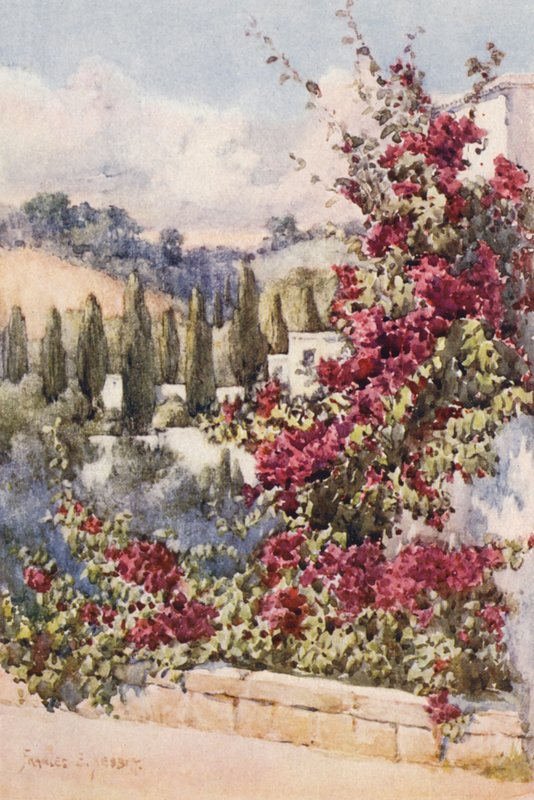 Auf meinem Balkon, Algier von Frances Nesbitt