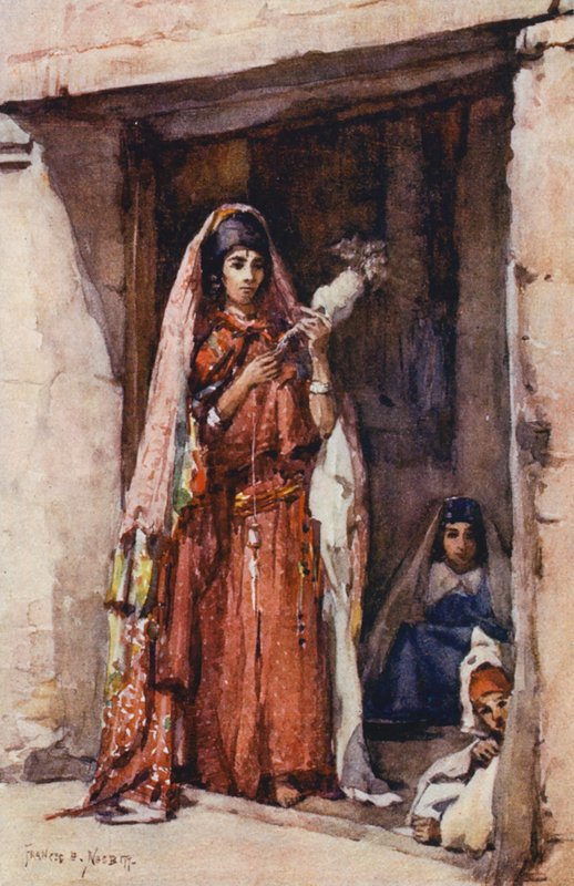 Spinnen von Frances Nesbitt