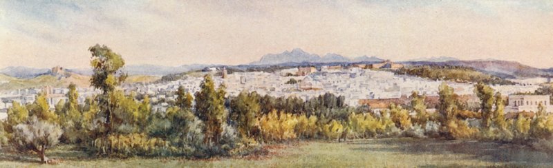 Tunis vom Belvedere von Frances Nesbitt