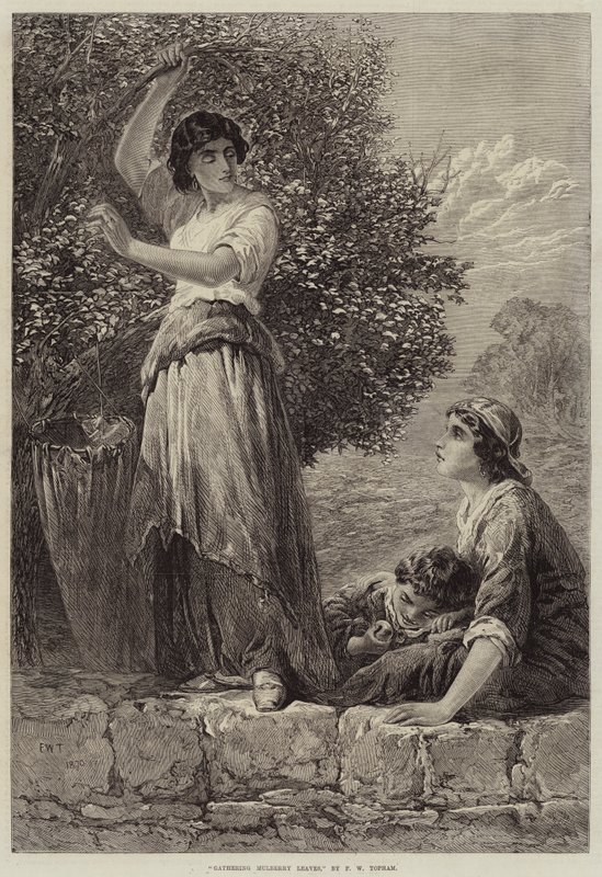 Maulbeerblätter sammeln von Francis William Topham