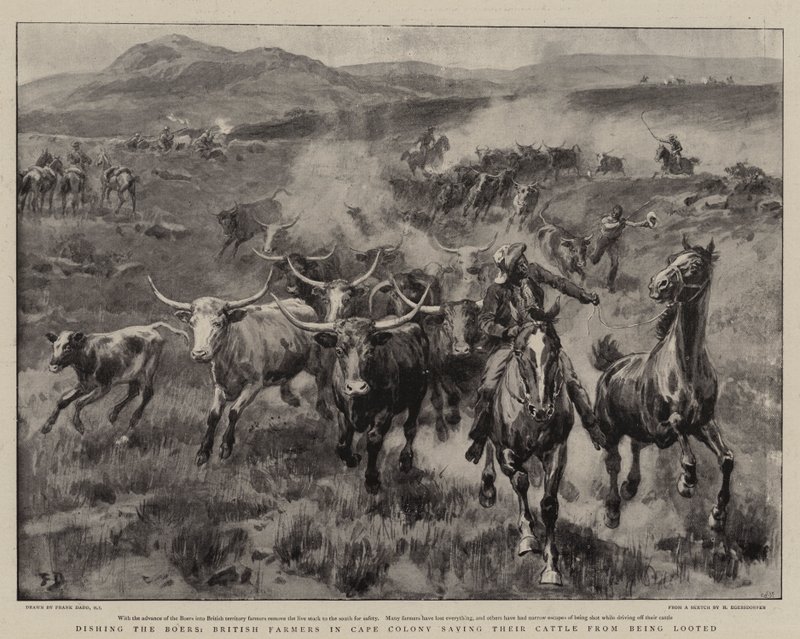 Die Buren austricksen, britische Bauern in der Kapkolonie retten ihr Vieh vor Plünderungen von Frank Dadd