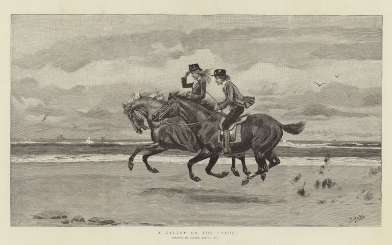 Ein Galopp am Strand von Frank Dadd