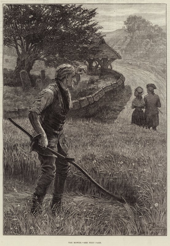 Der Mäher von Frank Dadd
