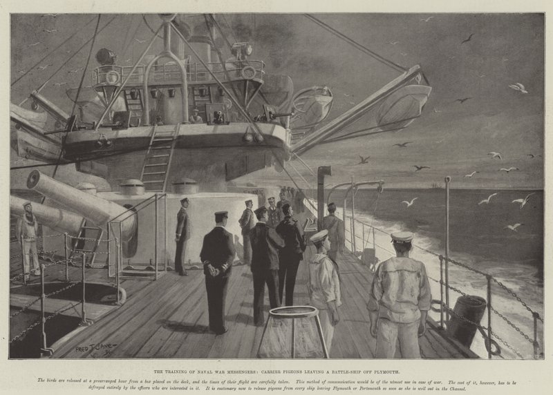 Die Ausbildung von Marinekriegsmeldungen, Brieftauben verlassen ein Schlachtschiff vor Plymouth von Fred T. Jane