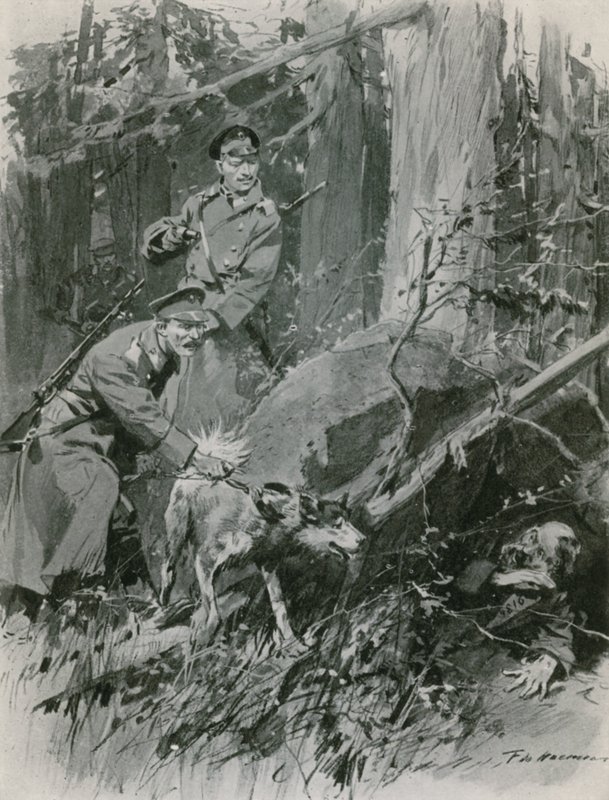 Die Jagd nach einem Gefangenen von Frederic de Haenen