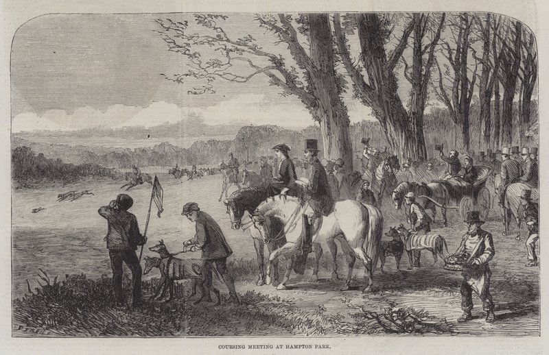 Hetzjagd-Treffen im Hampton Park von Frederick John Skill