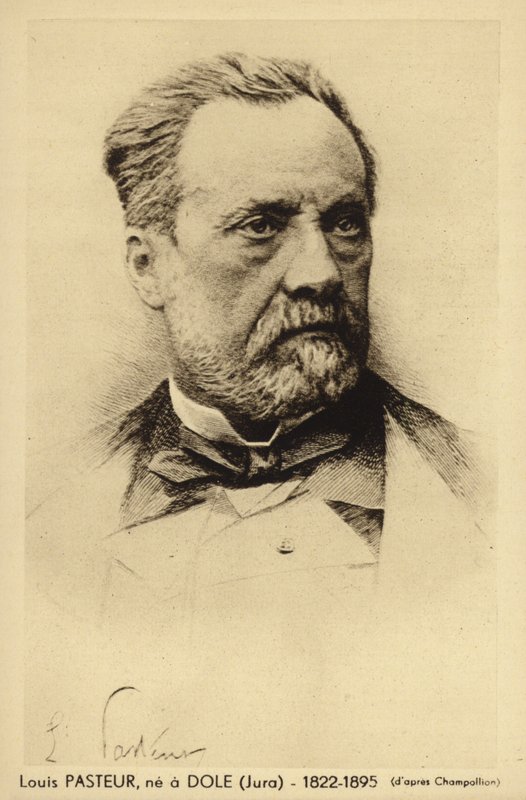 Louis Pasteur (1822-1895), französischer Chemiker und Mikrobiologe von French Photographer