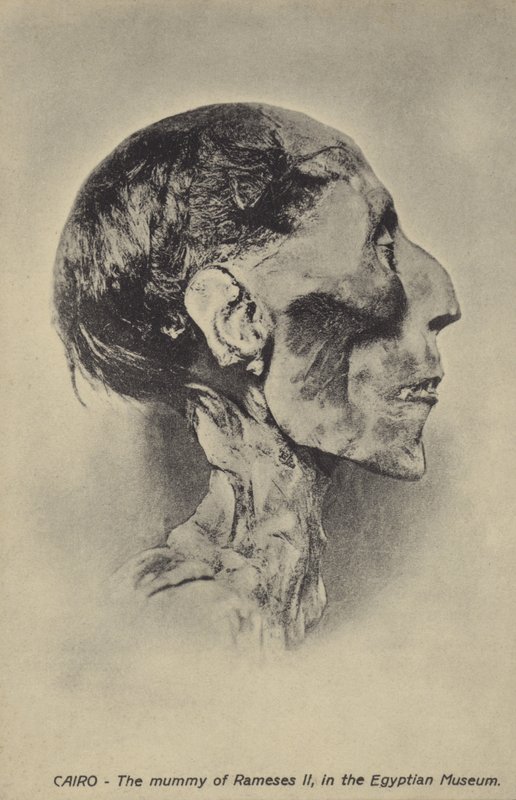 Mumie von Ramses II. von French Photographer