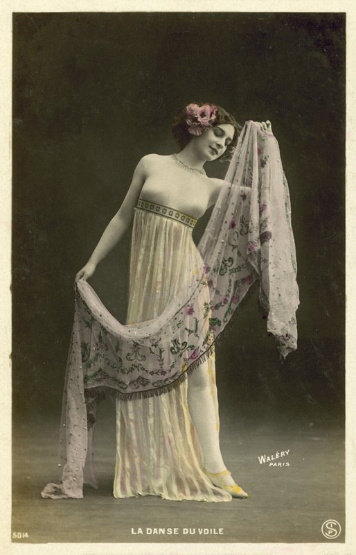 Der Schleiertanz von French Photographer
