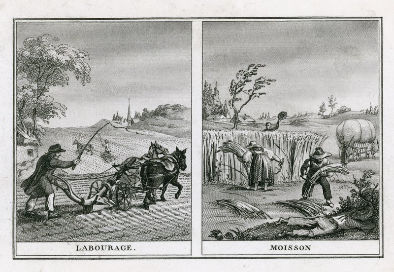 Landwirtschaftliche Szenen des Pflügens und Erntens von French School