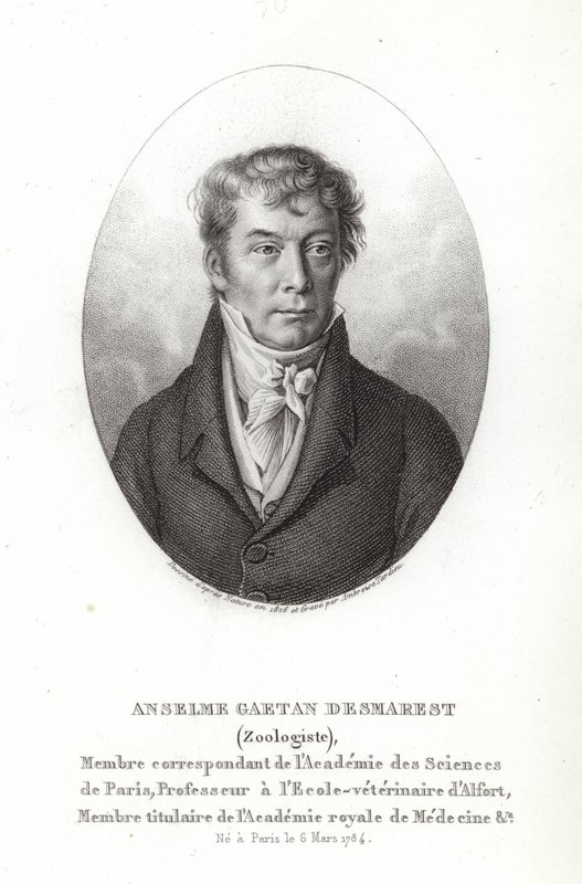 Anselme Gaëtan Desmarest von French School
