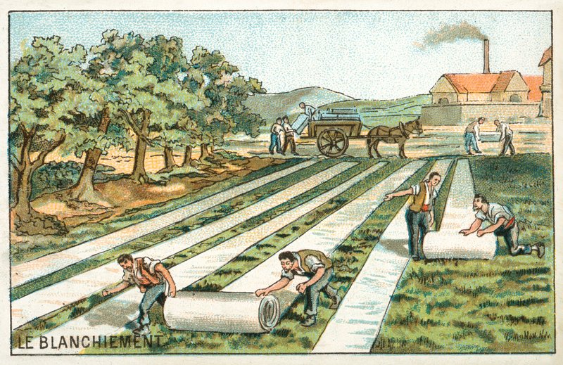 Bleichen von French School