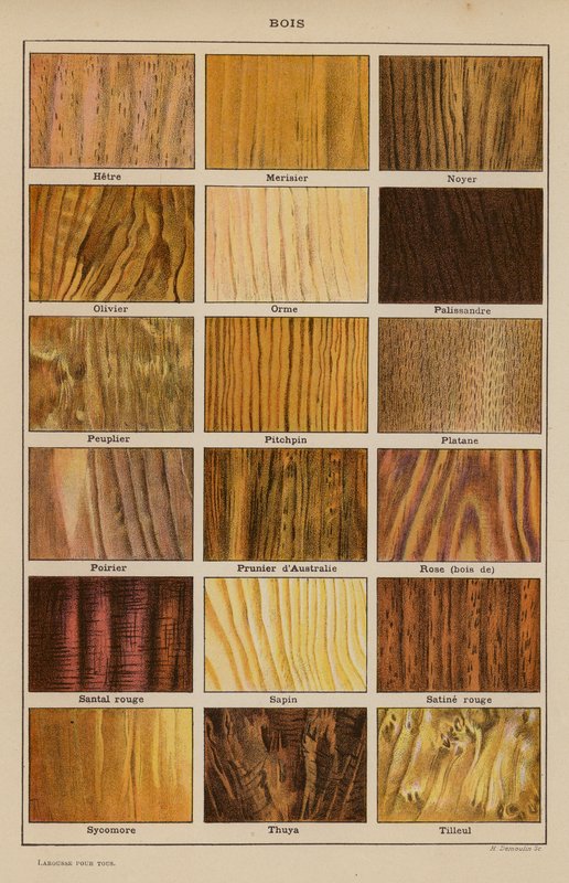 Holz (Farblithografie) von French School