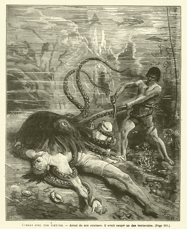 Kampf mit einem Oktopus (Gravur) von French School