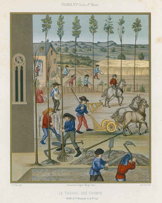 Feldarbeit von French School