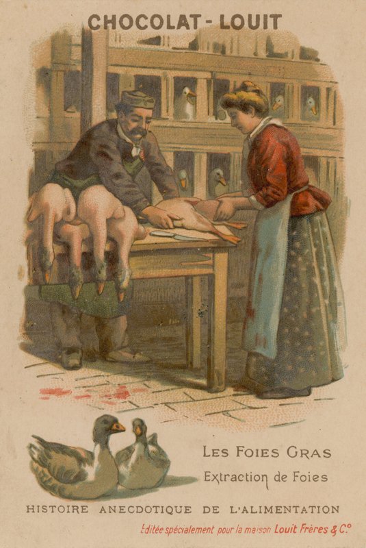 Foie Gras von French School