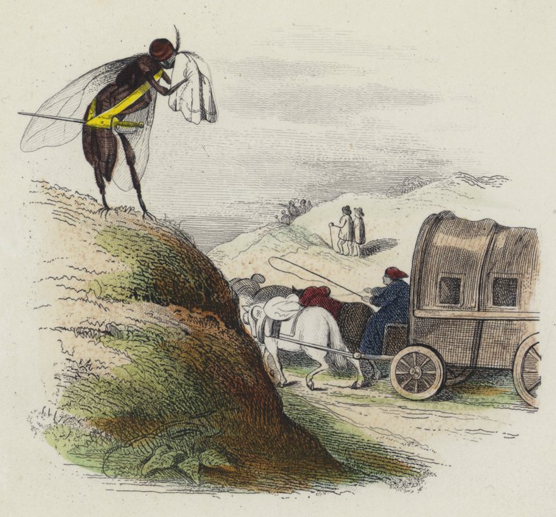 Le Coche Et La Mouche von French School