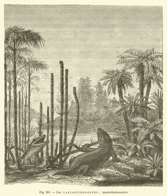 Die Labyrinthodonten, Mastodontosaurier von French School