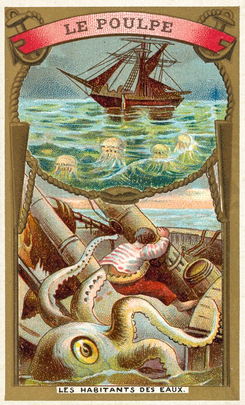 Oktopus von French School