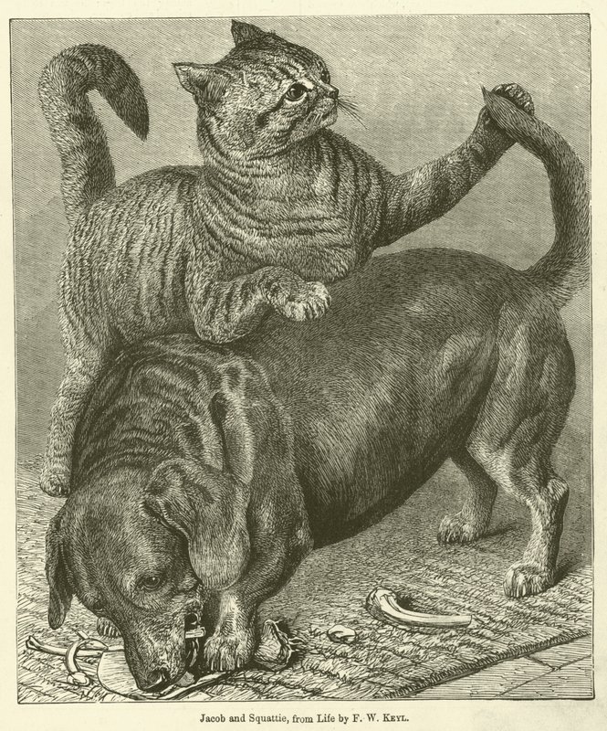 Jacob und Squattie von Friedrich Wilhelm Keyl